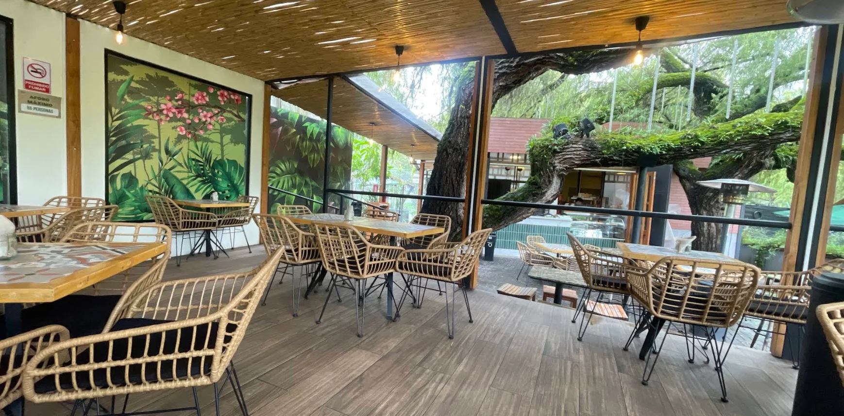 Terraza del Restaurante Jardín Botánico Quito con sillas de mimbre, murales de selva y vegetación natural en un ambiente relajante.